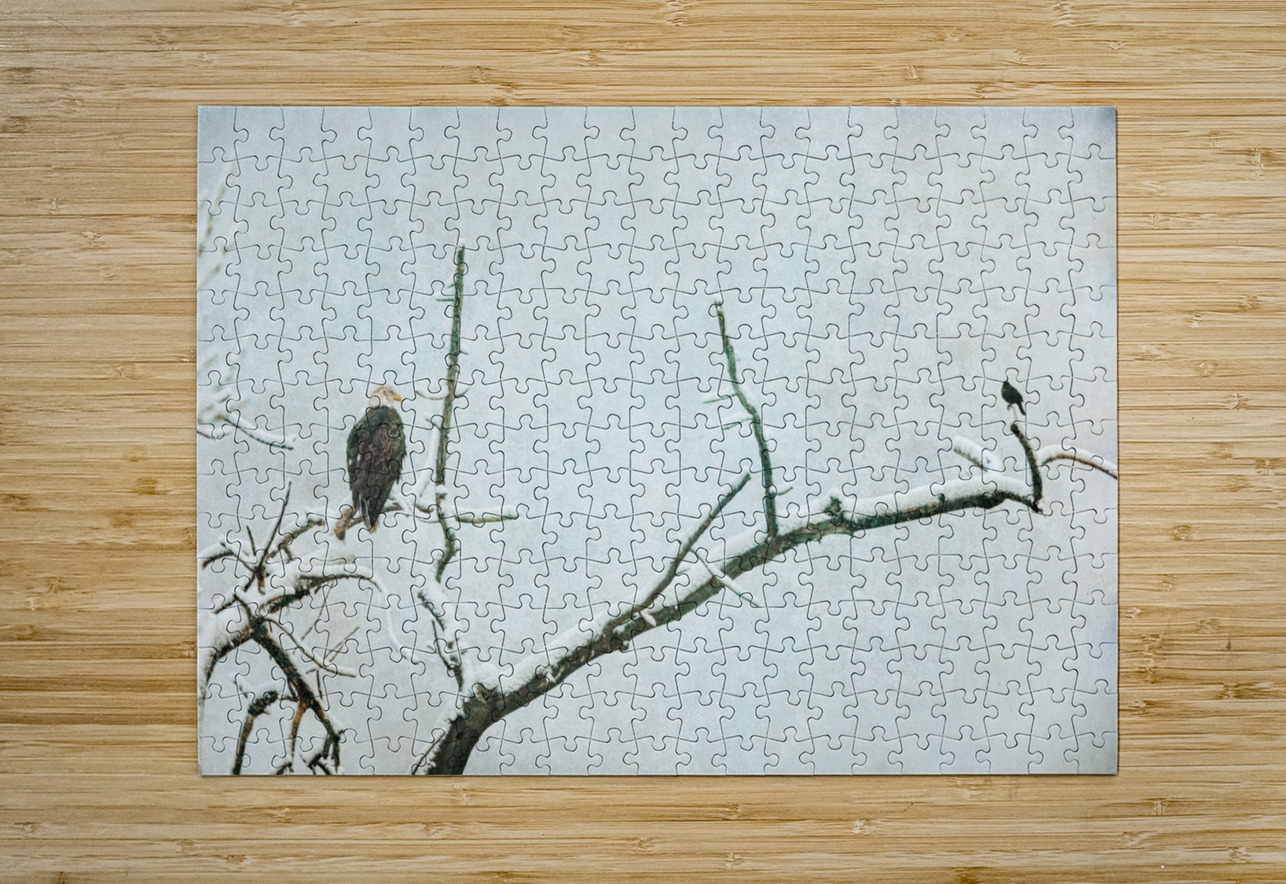 Bald Eagle Little Birdie Bo Insogna Puzzle printing