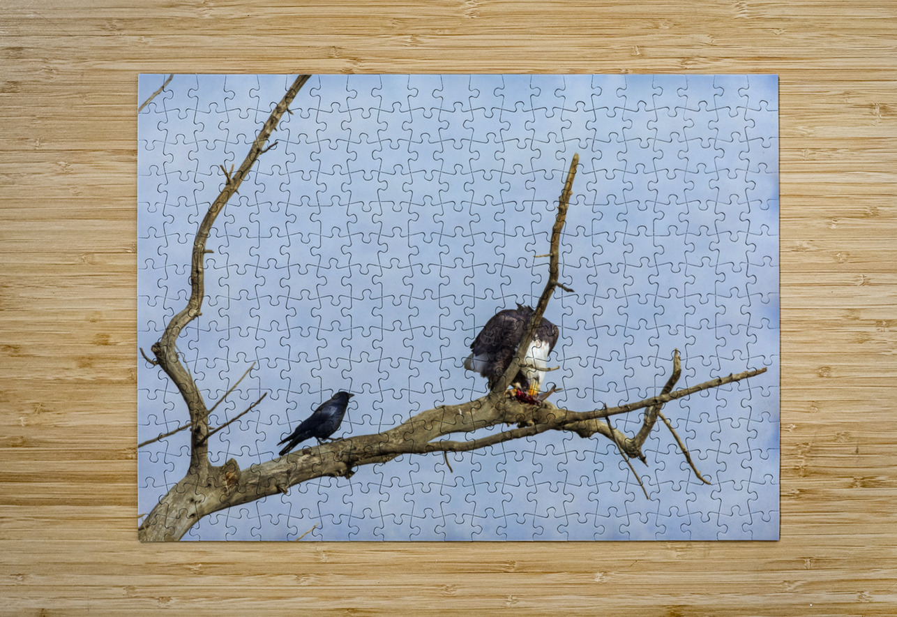 Will You Share Bo Insogna Puzzle printing