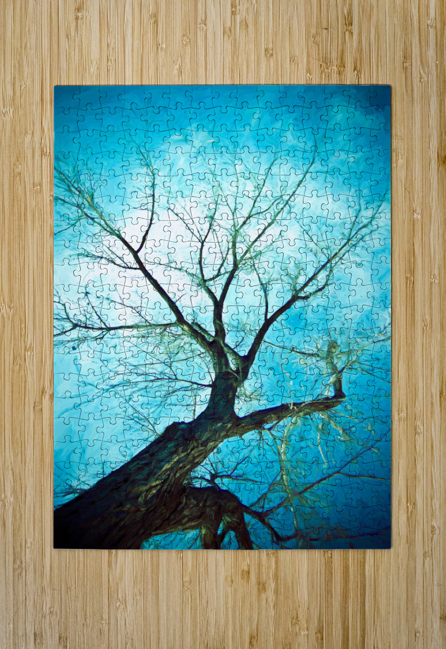 winter tree blue  HD Metal print with Floating Frame on Back