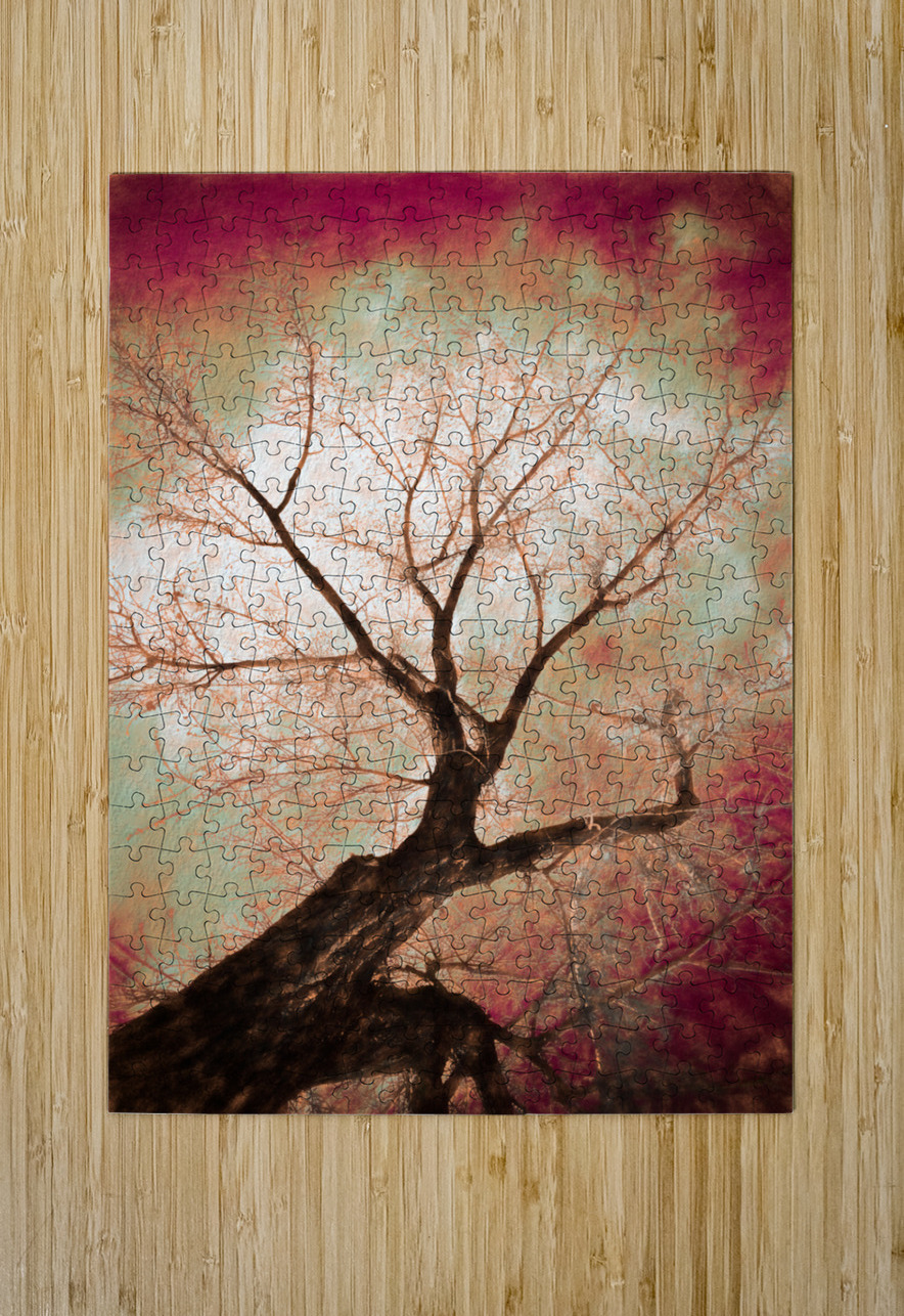 climbing red fiery  HD Metal print with Floating Frame on Back