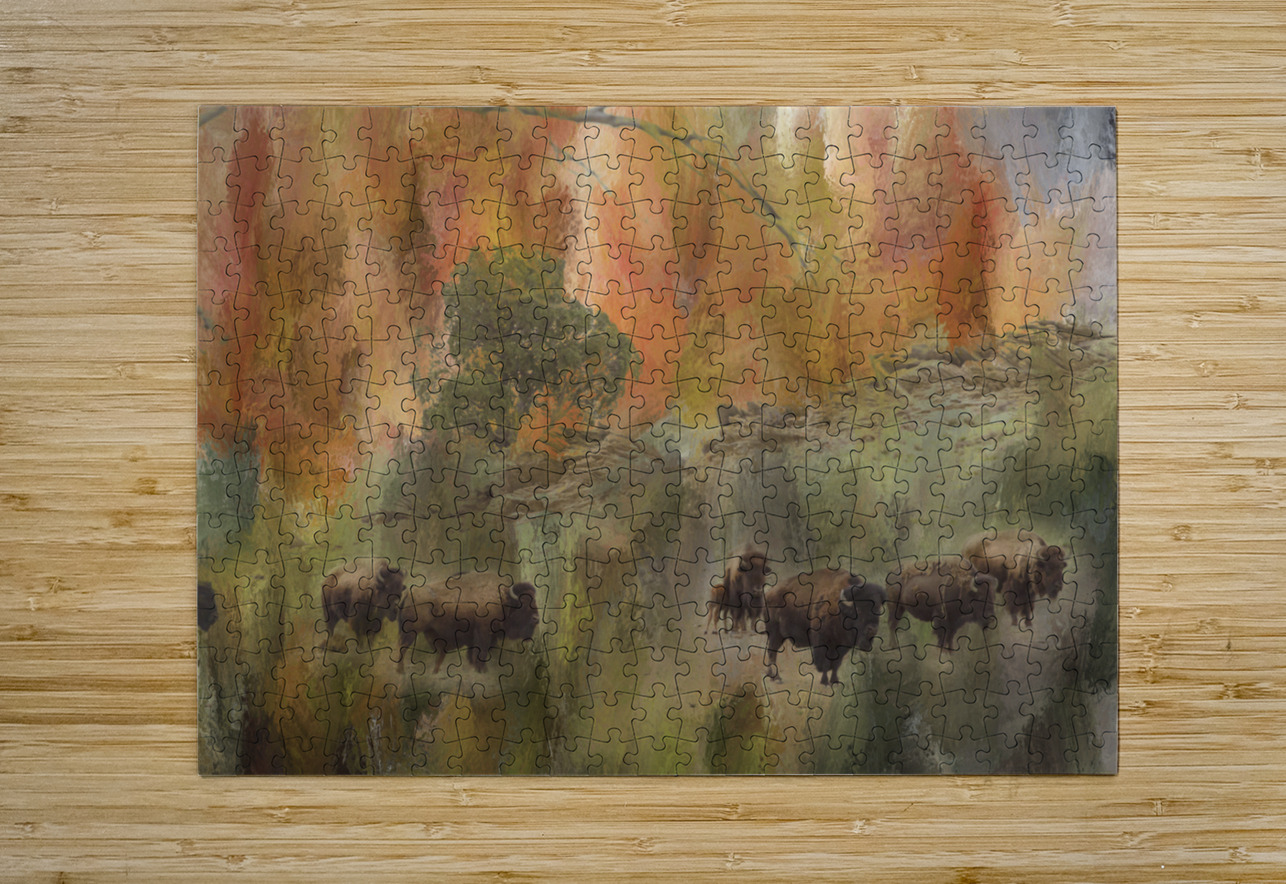 Bison Herd Watching  HD Metal print with Floating Frame on Back