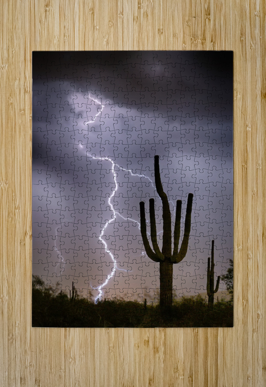 Sonoran Desert Monsoon Storming Bo Insogna Puzzle printing