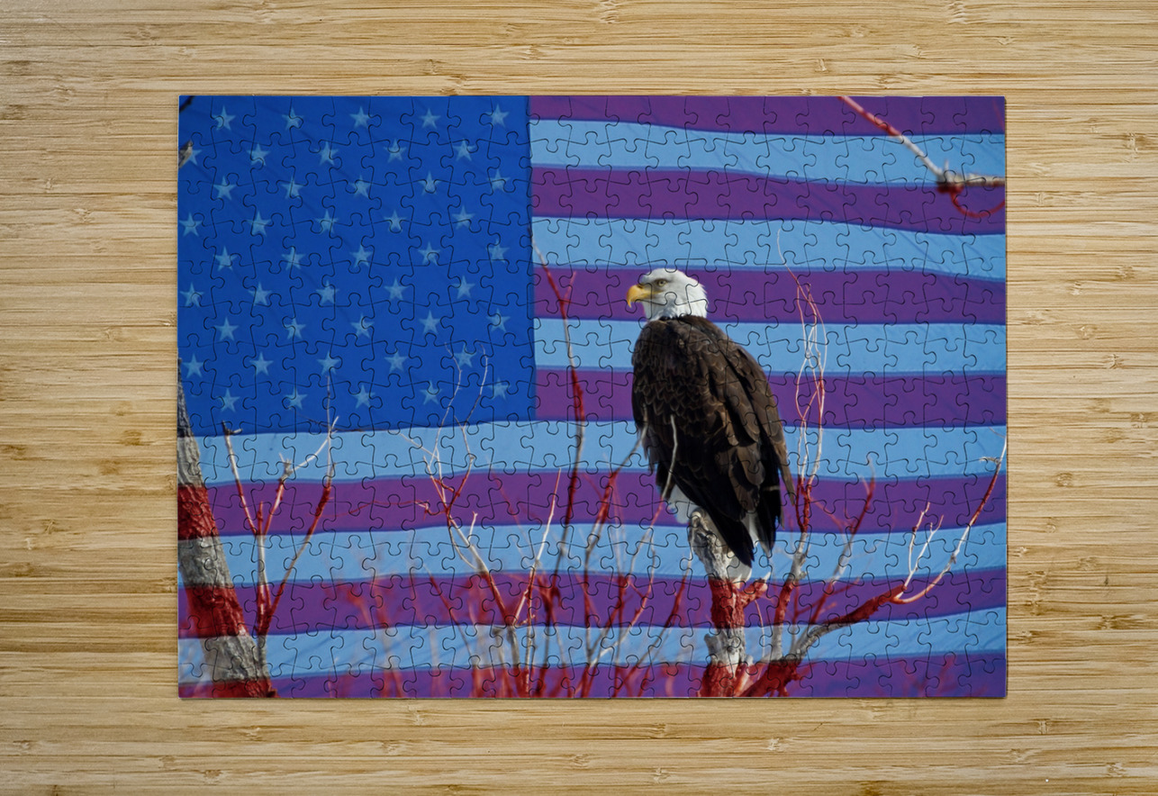 American Bald Eagle 3 Bo Insogna Puzzle printing