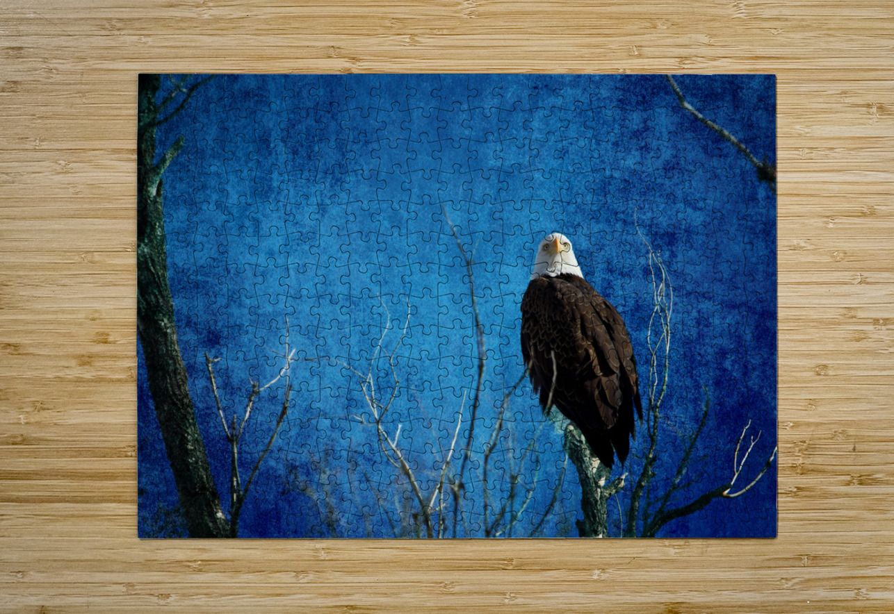 Bald Eagle Blues Into Night Bo Insogna Puzzle printing