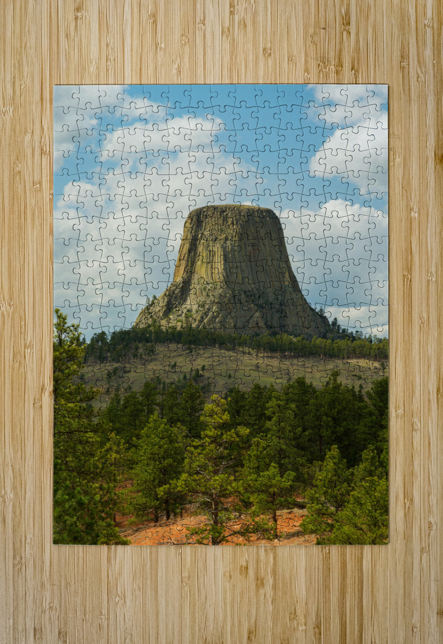 Majestic Devils Tower in Wyoming Surrounded by Pine Forest Bo Insogna Puzzle printing