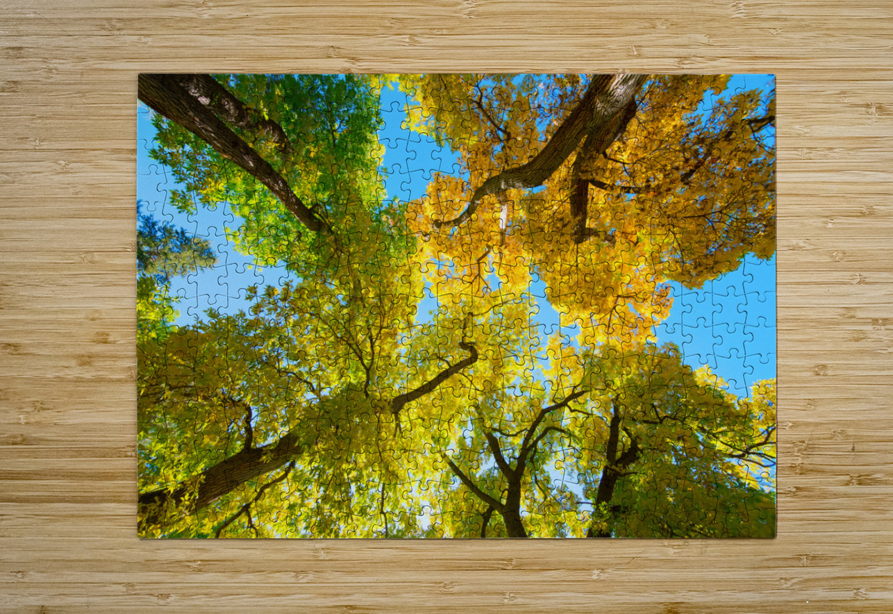 Vibrant Autumn Landscape - Colorful Trees under Blue Sky Bo Insogna Puzzle printing