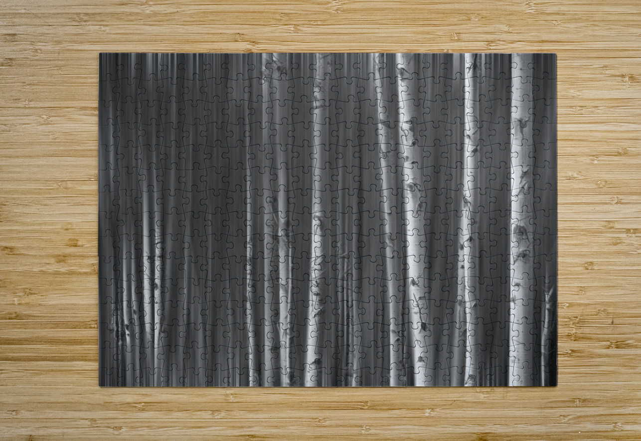 Somewhere Along the Road Dreaming Black and White Bo Insogna Puzzle printing