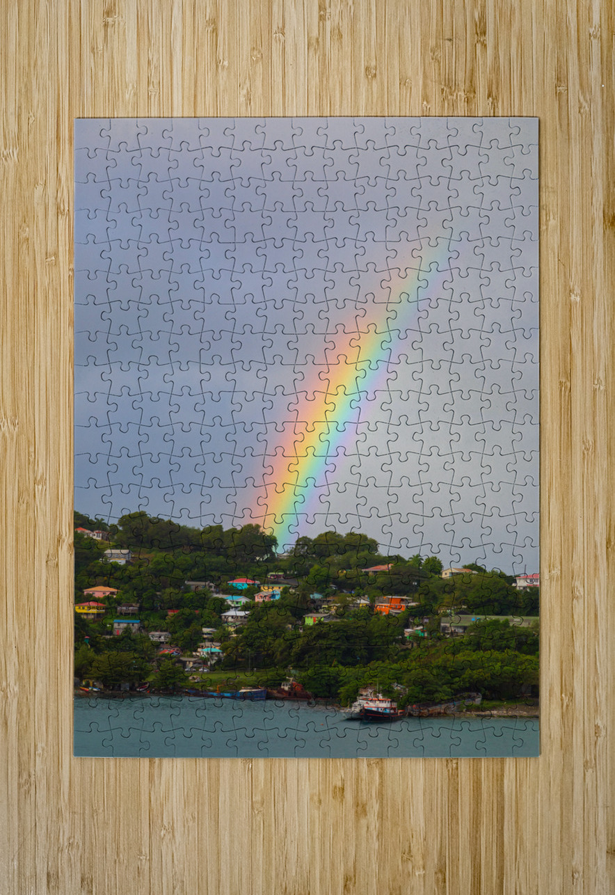 Enchanting Finale of a Vibrant Rainbow Bo Insogna Puzzle printing
