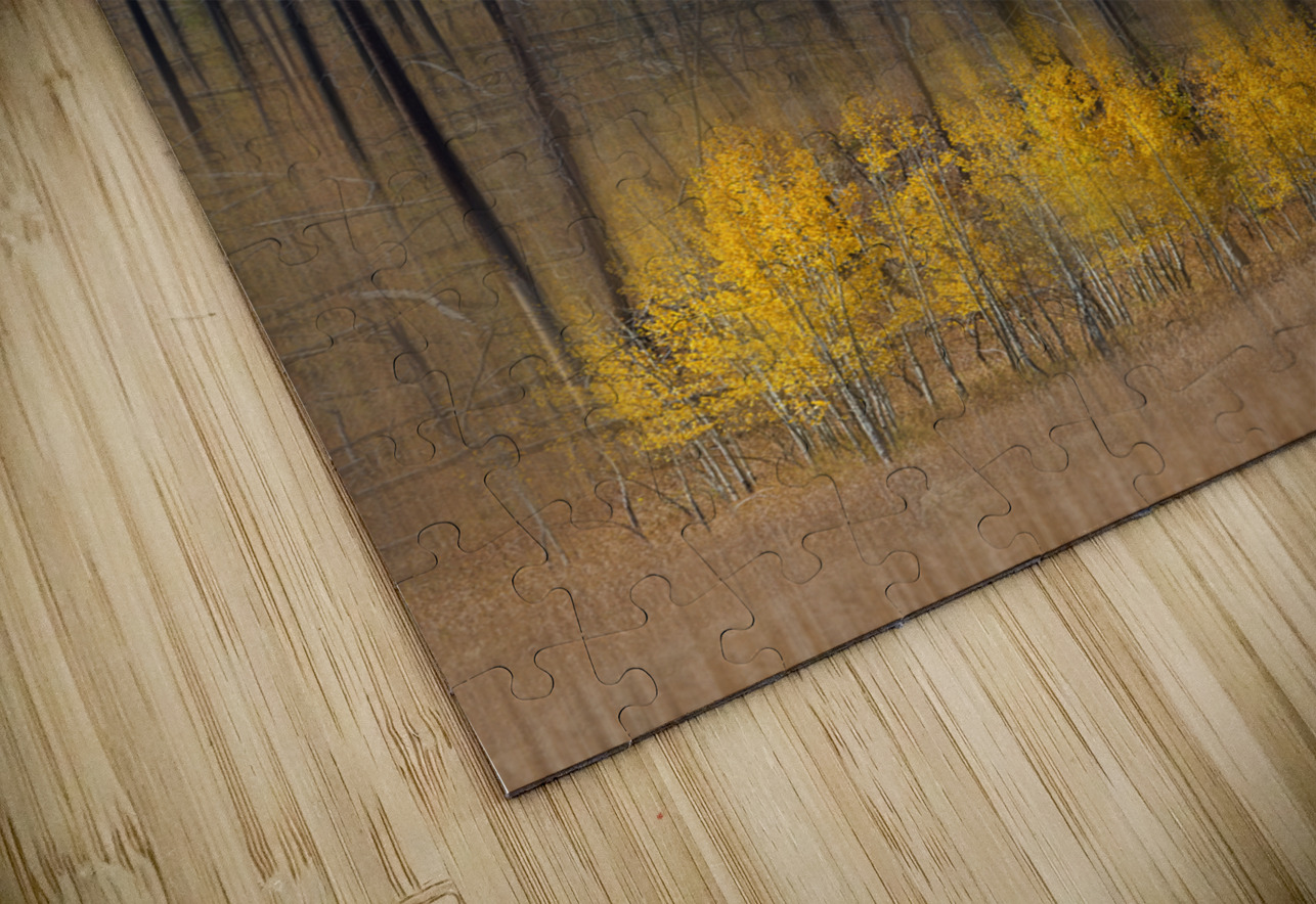 Aspen Forest Fire Abstract Bo Insogna Puzzle