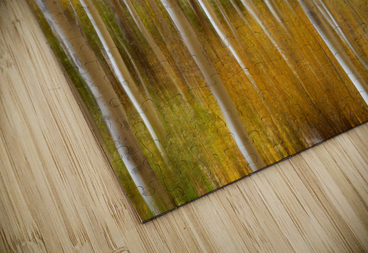 Golden Forest Moment Abstract Bo Insogna Puzzle