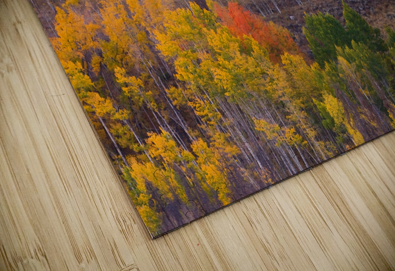 Rocky Mountain Autumn View Bo Insogna Puzzle