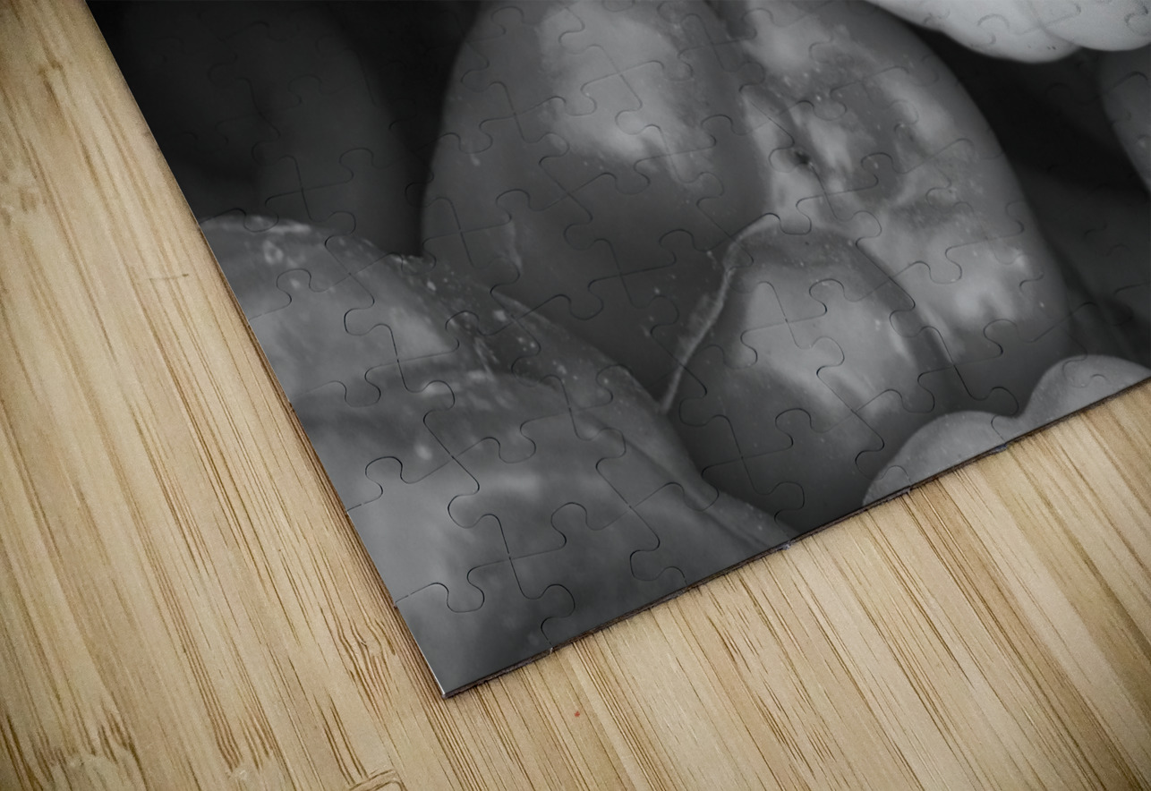 Albino Bullnose Pepper BW Bo Insogna Puzzle