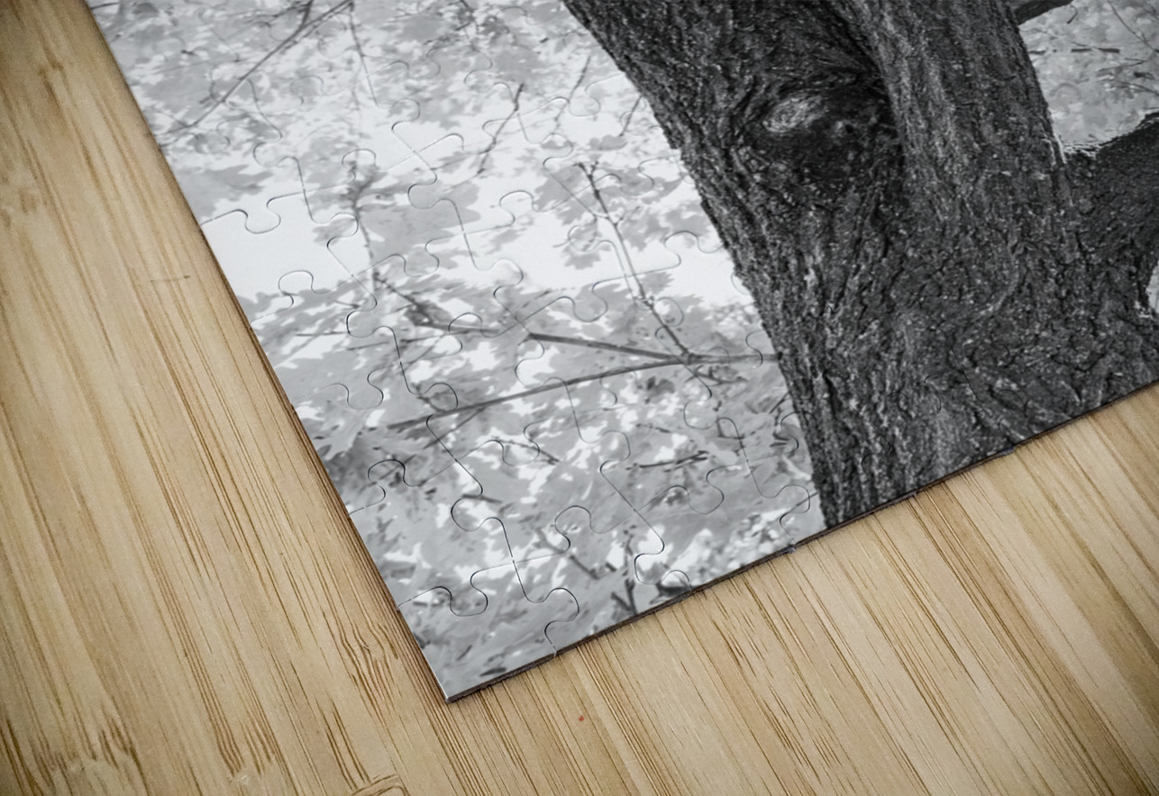 Branching Out in Timeless Black and White Elegance   Bo Insogna Puzzle