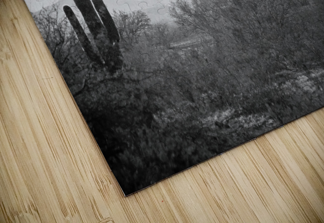 Hot Air Balloon Flight over Southwest Desert BW Fine Art Print   Bo Insogna Puzzle