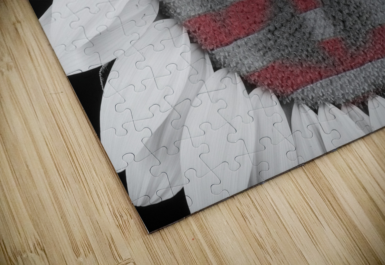 American Sunflower Power Bo Insogna Puzzle