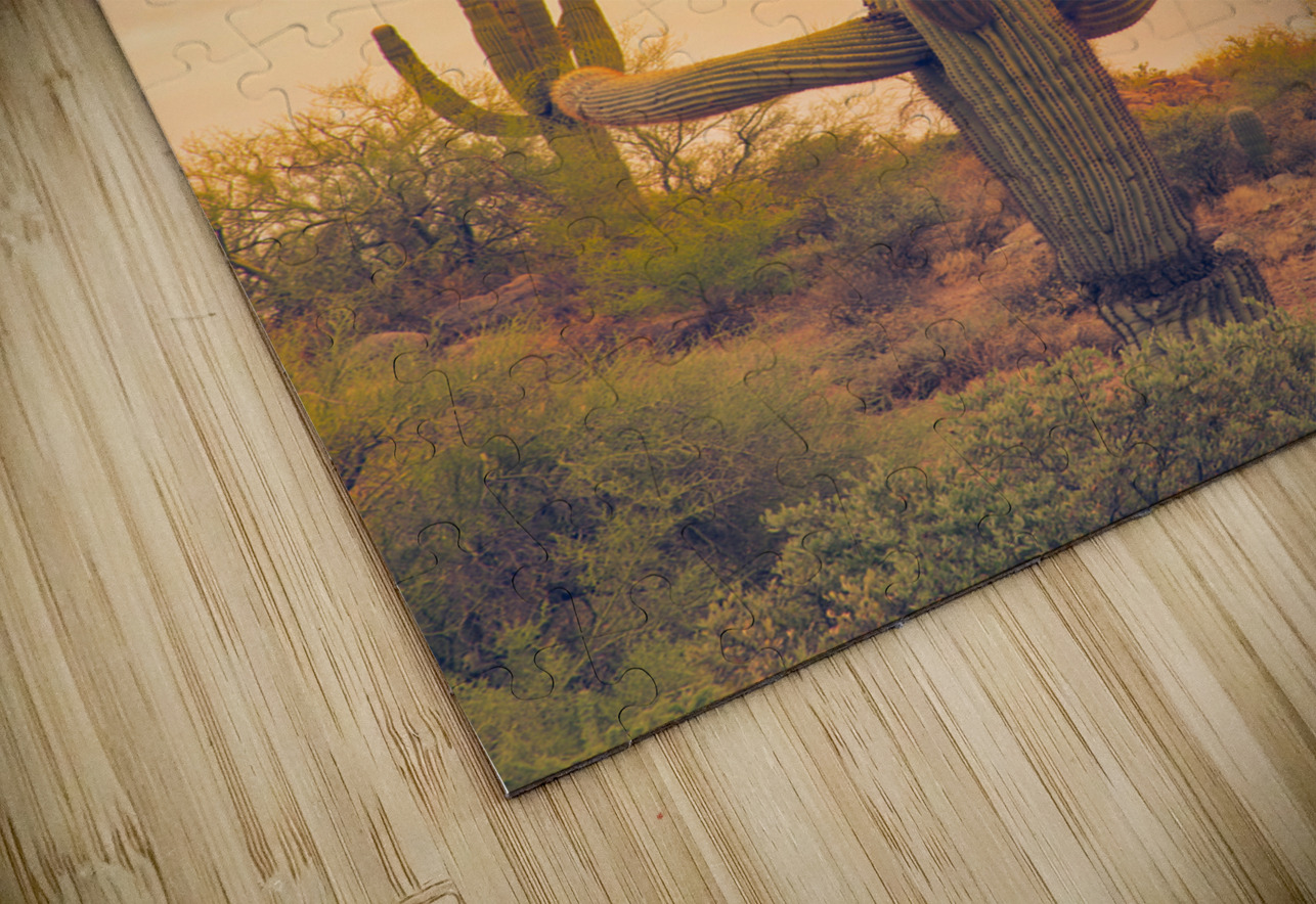Classic Arizona Giant Saguaro Bo Insogna Puzzle