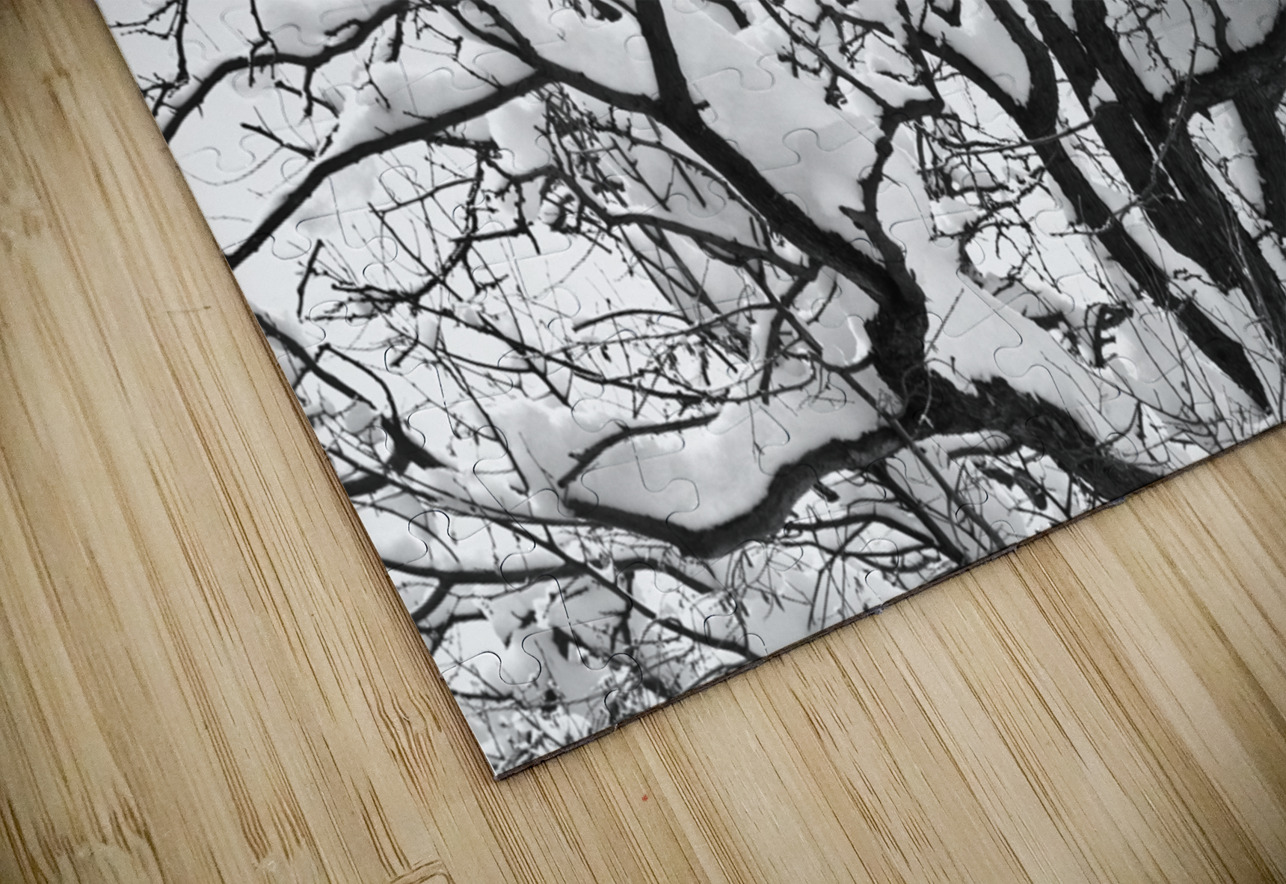 Snowy Tree Black and White Bo Insogna Puzzle