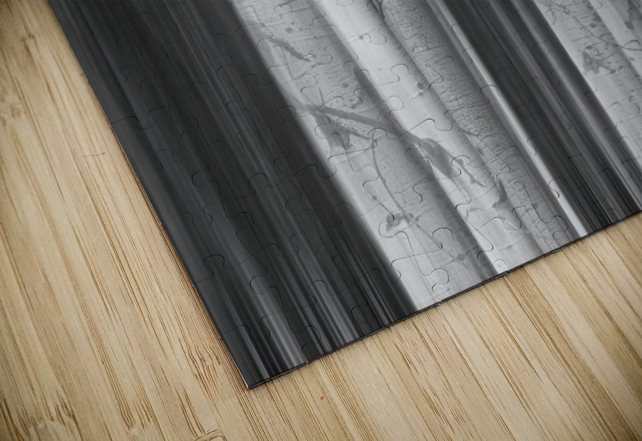 Aspen Tree Colonies Dreaming BW Bo Insogna Puzzle