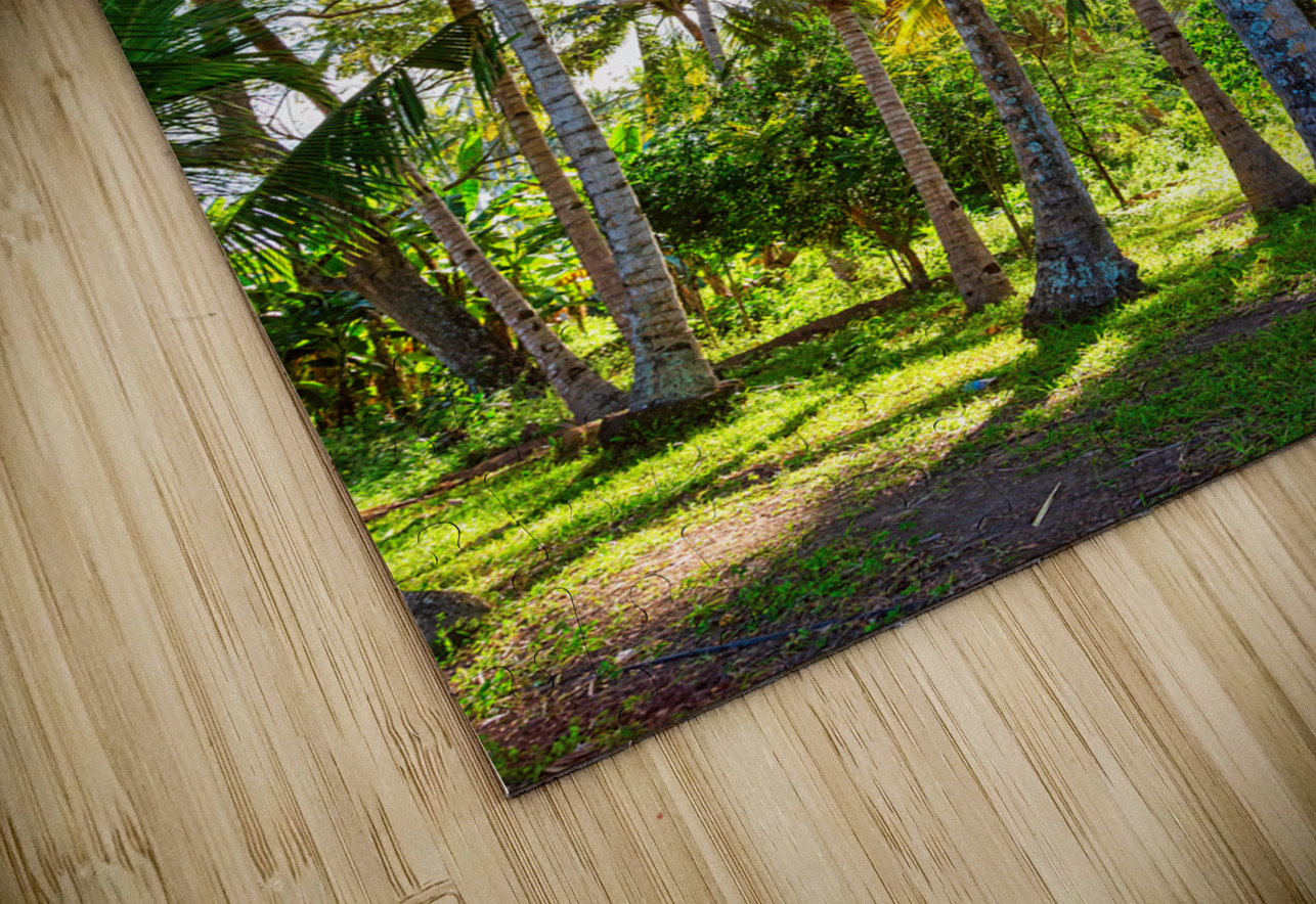 Tropic Sunshine Bo Insogna Puzzle