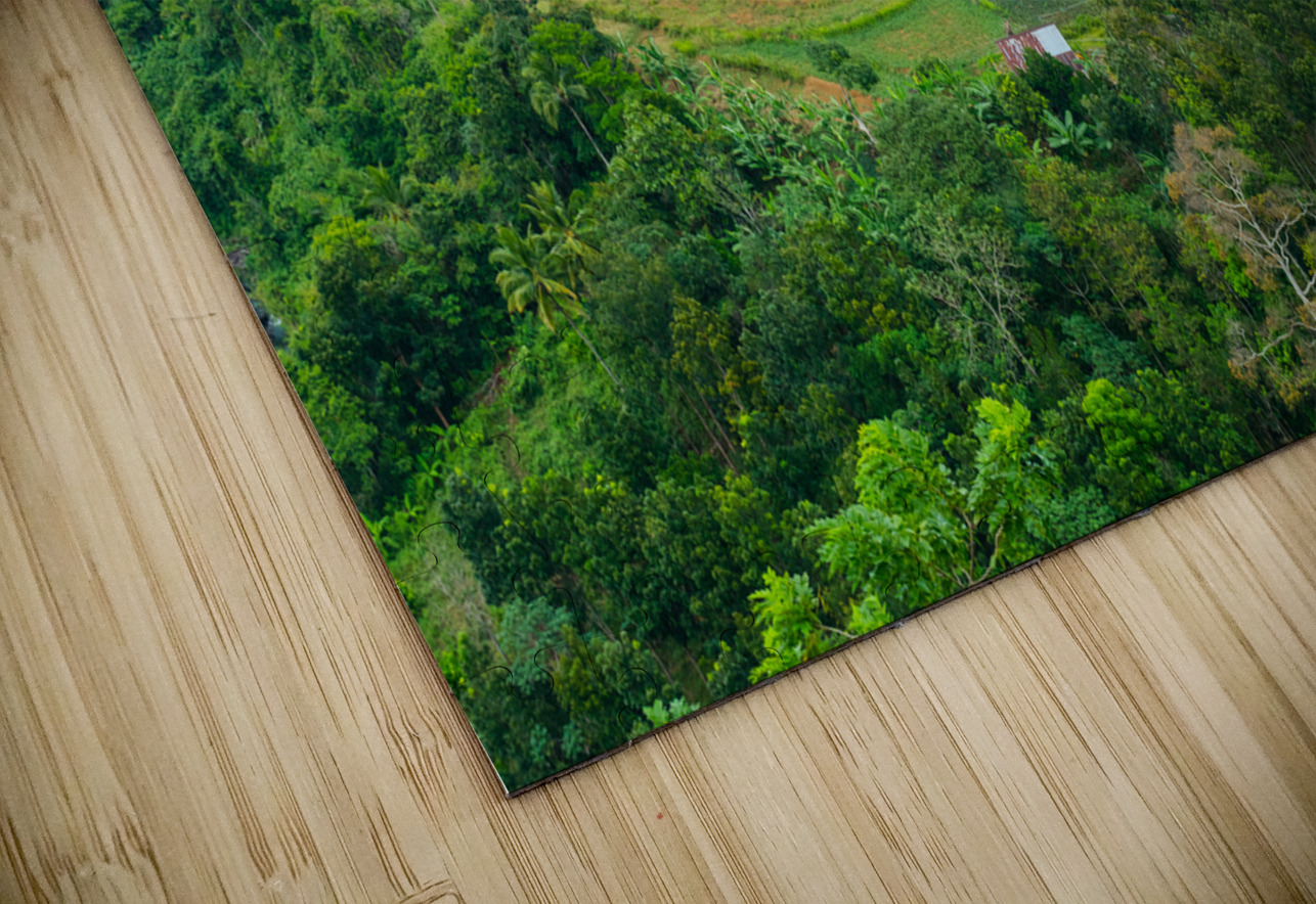 Mountain Rice Fields of Negros Island Emerald Tranquility Bo Insogna Puzzle