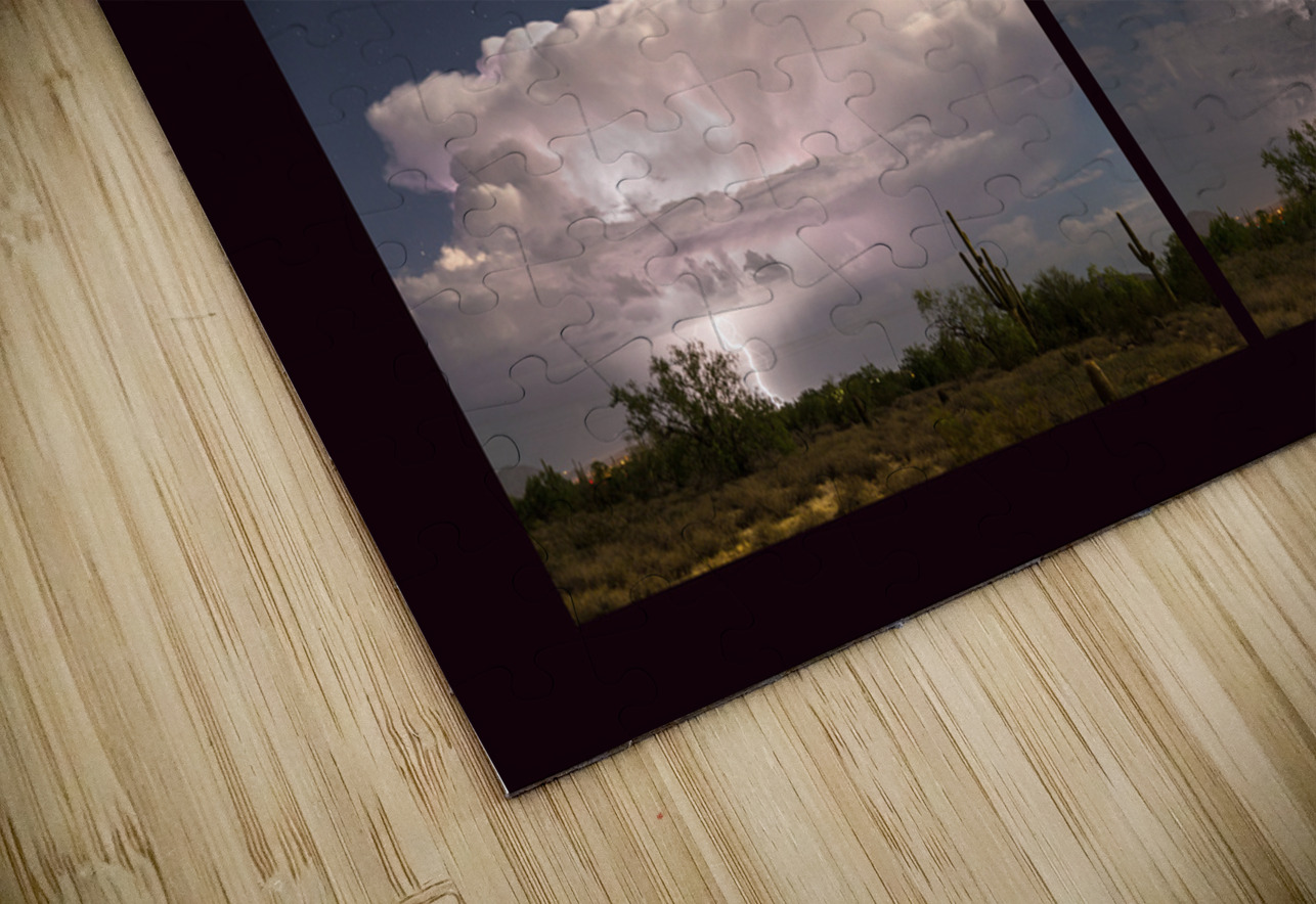 Storming Sonoran Desert Bo Insogna Puzzle