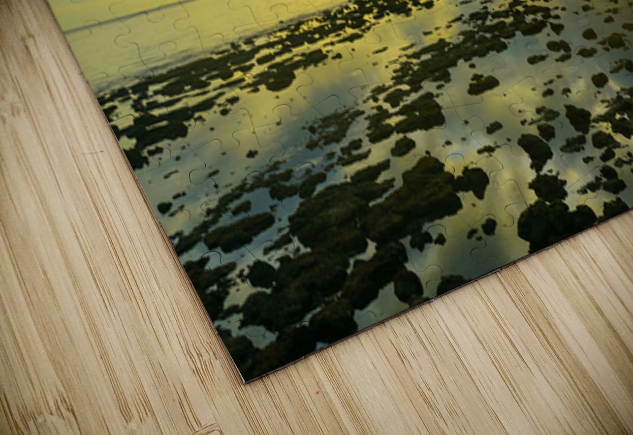 Where the Sky Meets the Tides Bo Insogna Puzzle