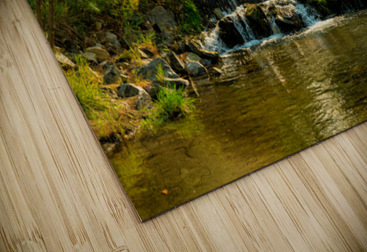 Lefthand Creek Longmont Autumn View Bo Insogna Puzzle