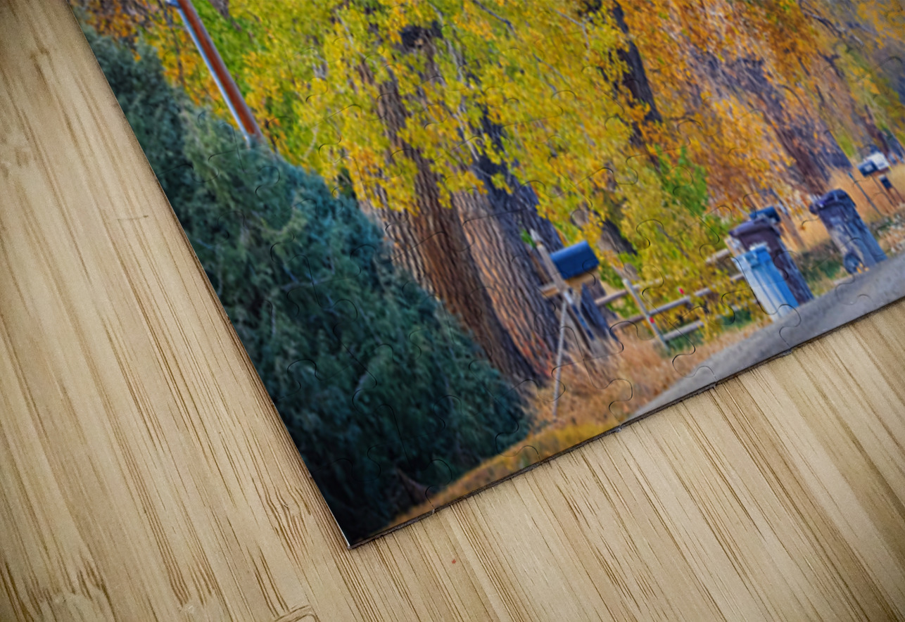 Awesome Country Road Bo Insogna Puzzle