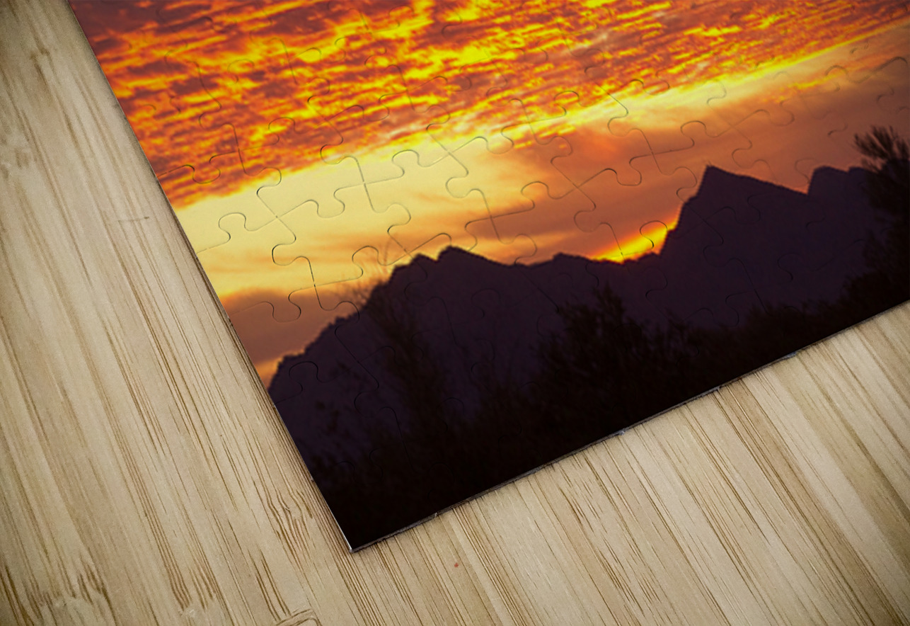 Morning Blaze Over Desert  Saguaro Giants in Arizona Bo Insogna Puzzle