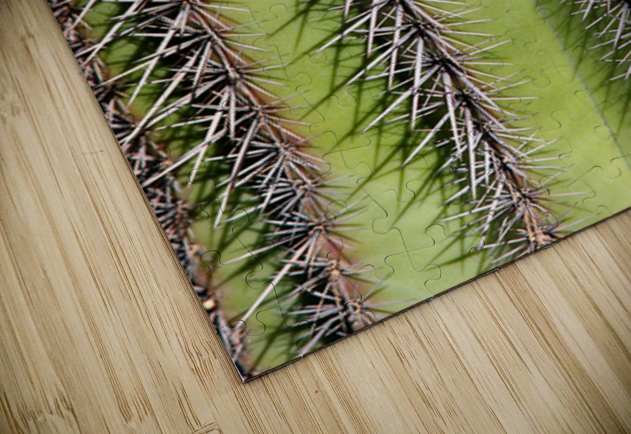 Vertical Close Up of a Southwest Saguaro Cactus Bo Insogna Puzzle