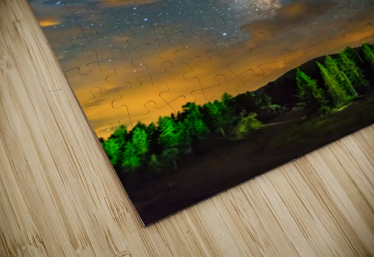 Forest In The Night Bo Insogna Puzzle