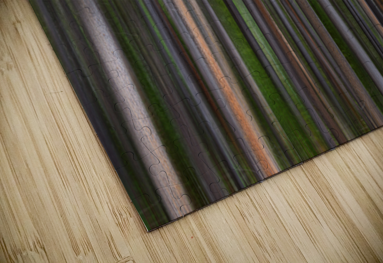 Colorful Forest Lines  Bo Insogna Puzzle