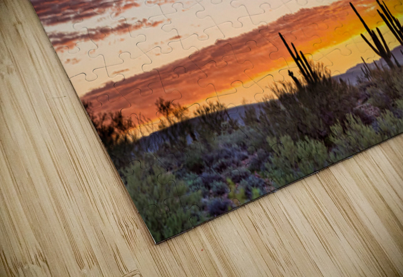 Colorful Sonoran Desert Sunrise Bo Insogna Puzzle