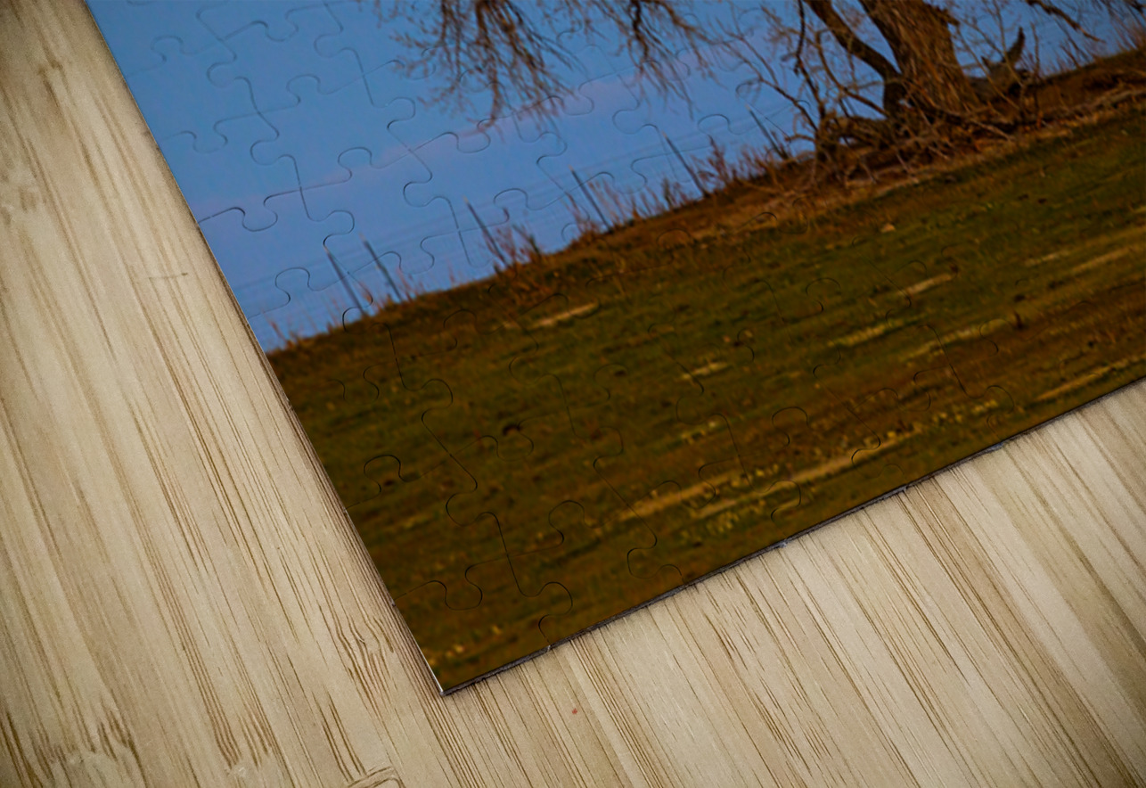 Celestial Sentinel A Supermoons Nocturnal Embrace Bo Insogna Puzzle