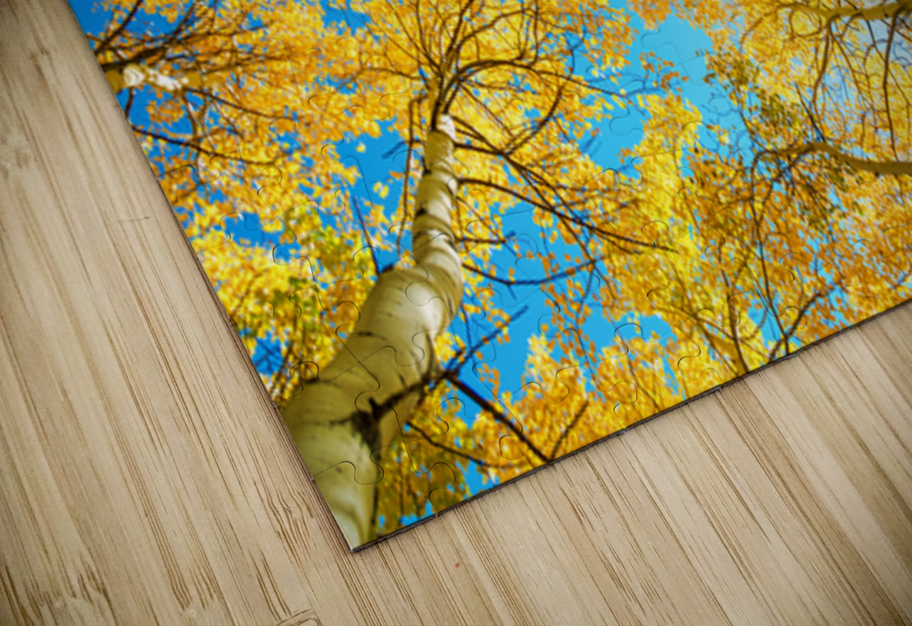 Colorado Aspen Kaleidoscope Bo Insogna Puzzle