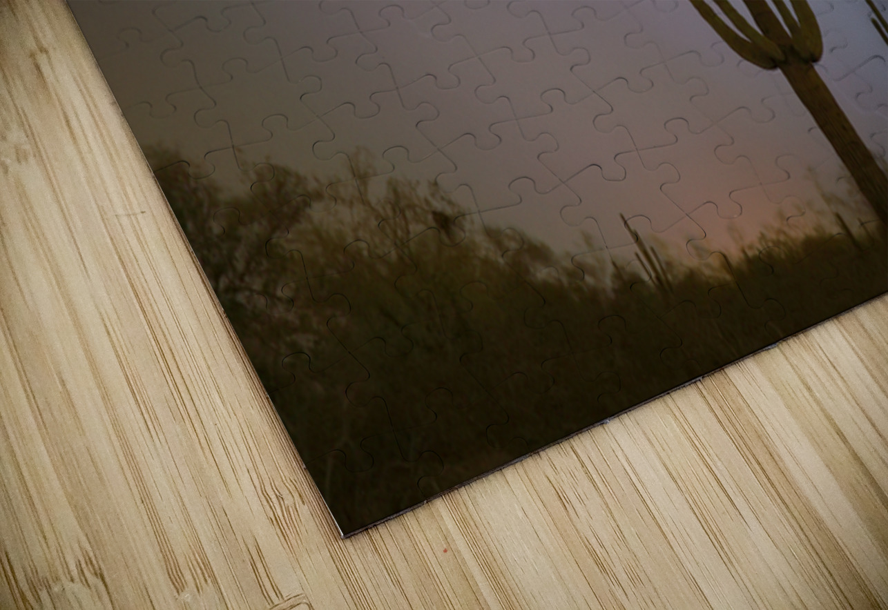 Desert Monsoon Lightning Saguaro Cactus Storm Photography Bo Insogna Puzzle