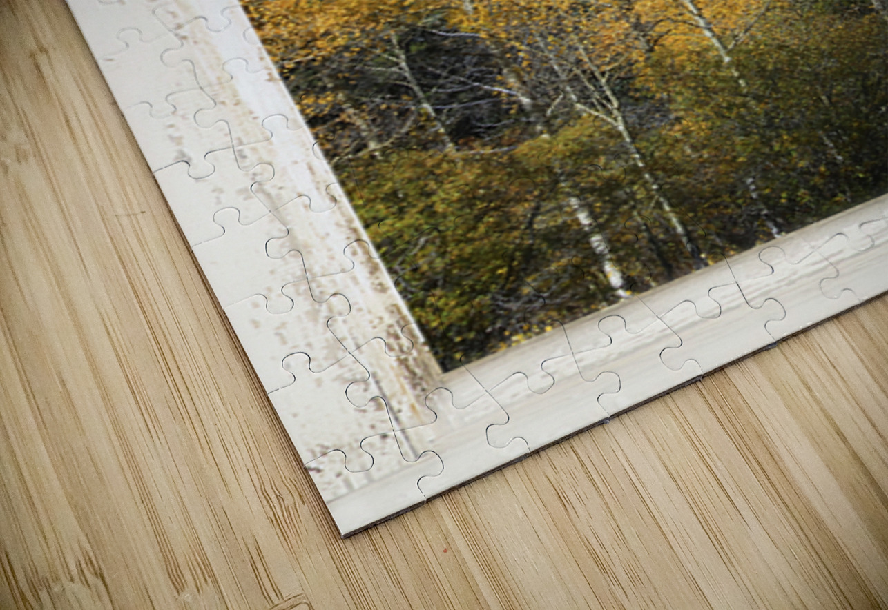 Colorado Autumn Longs Peak Window View Fine Art Print Bo Insogna Puzzle