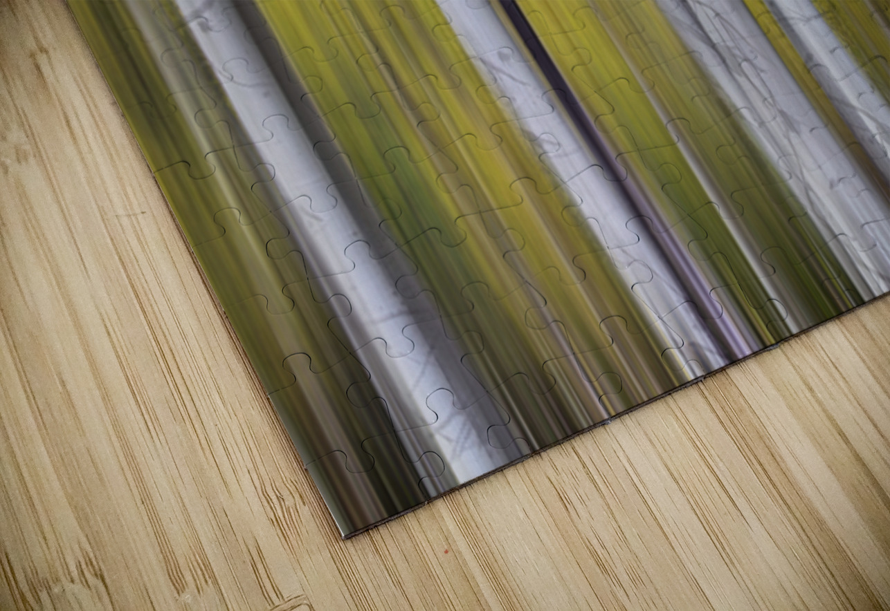 Aspen Light in Motion Fine Art Forest Bo Insogna Puzzle