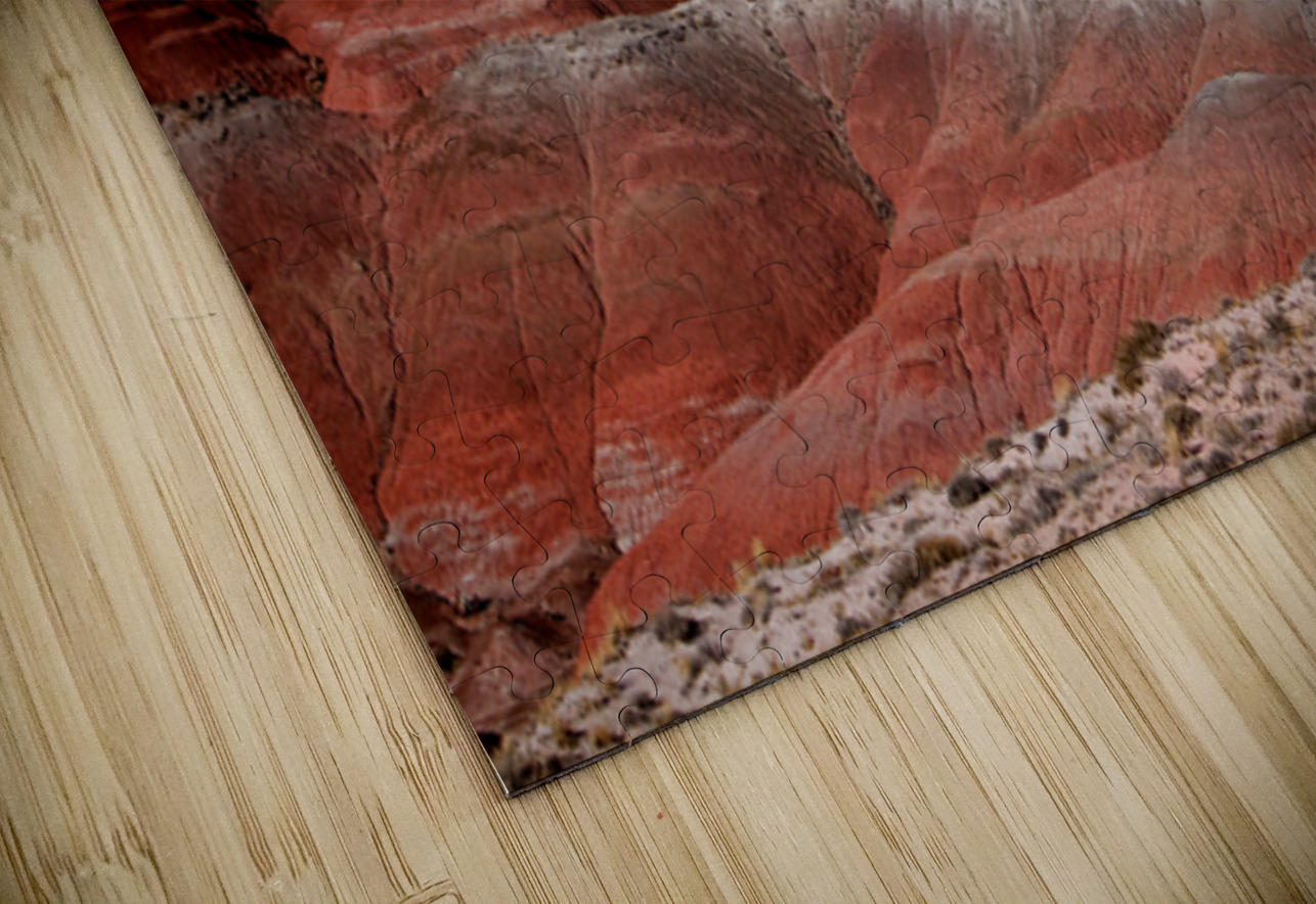 Painted Desert Strata Arizona Nature Landscape Bo Insogna Puzzle