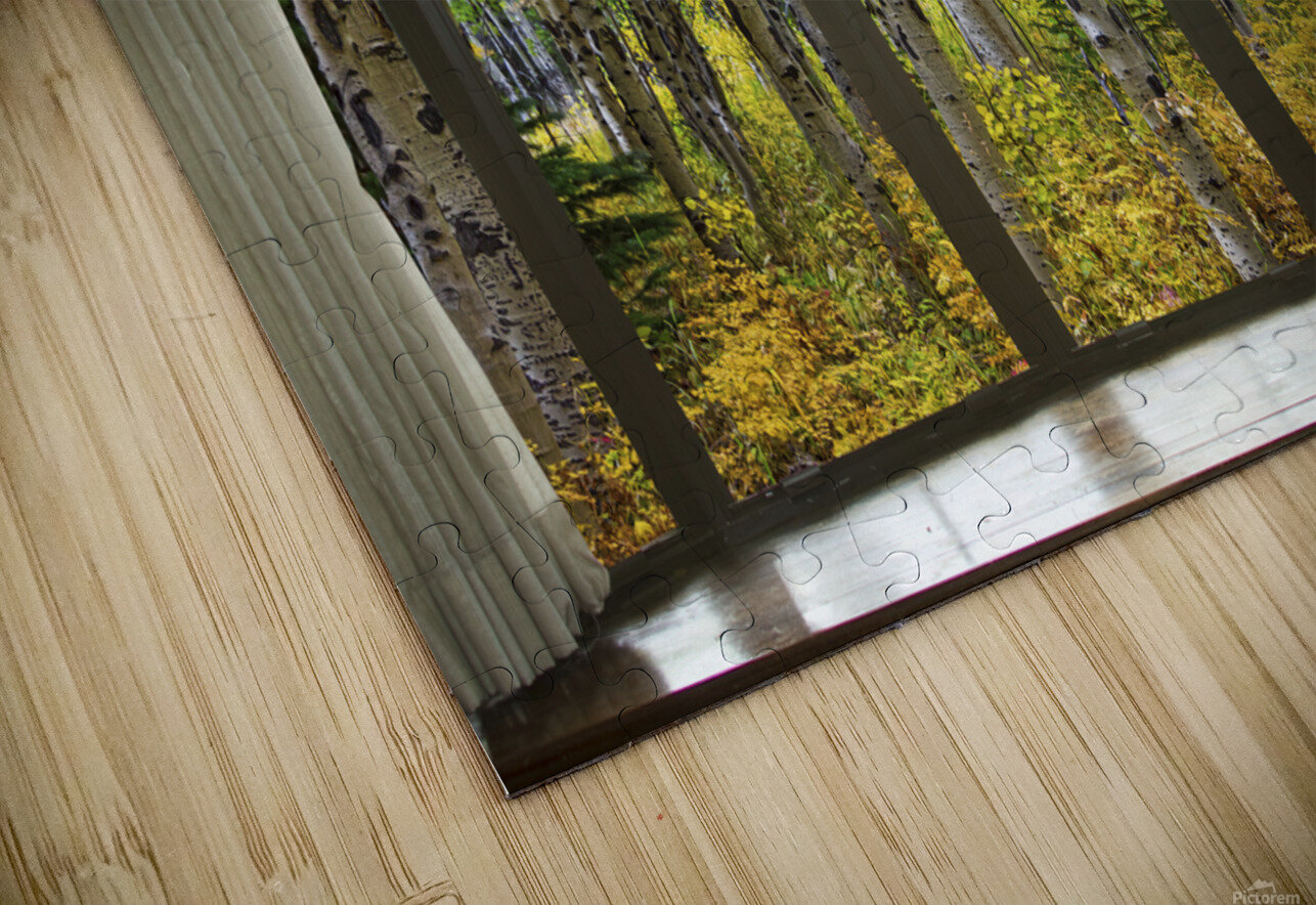 Autumn Forest Bay Window View Bo Insogna Puzzle