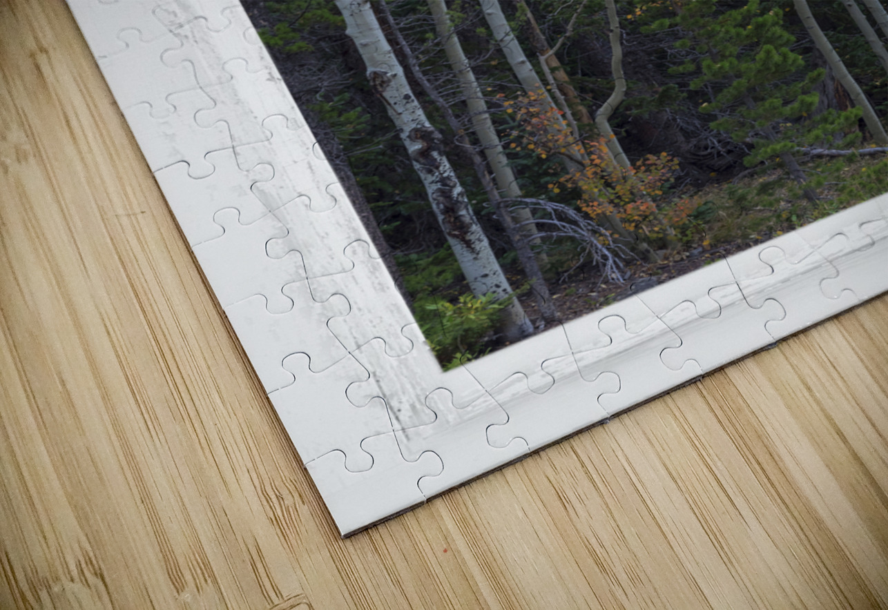 Aspen Forest Red Rustic Window View Bo Insogna Puzzle