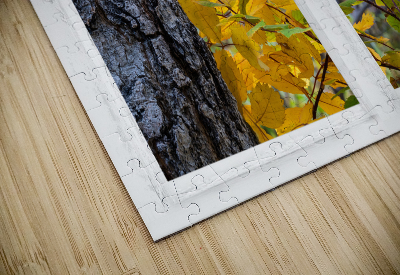 Wild Red Berries Forest Whitewash Picture Window Bo Insogna Puzzle