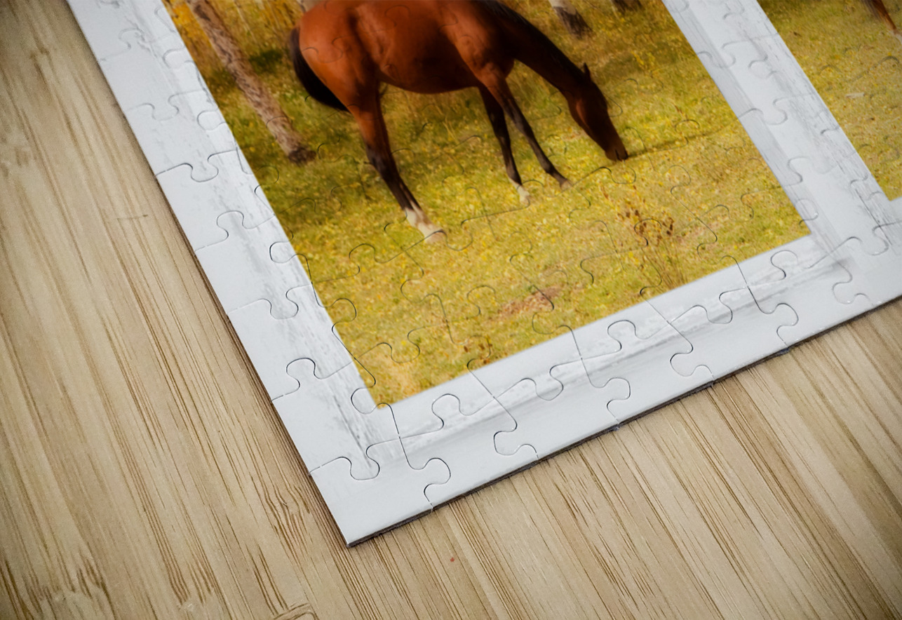 2 Horses Aspen Trees Whitewash Picture Window Bo Insogna Puzzle