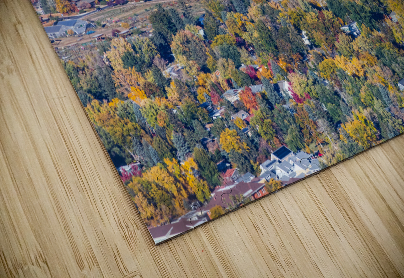 Colorful Trees Boulder Colorado HD Sublimation Metal print