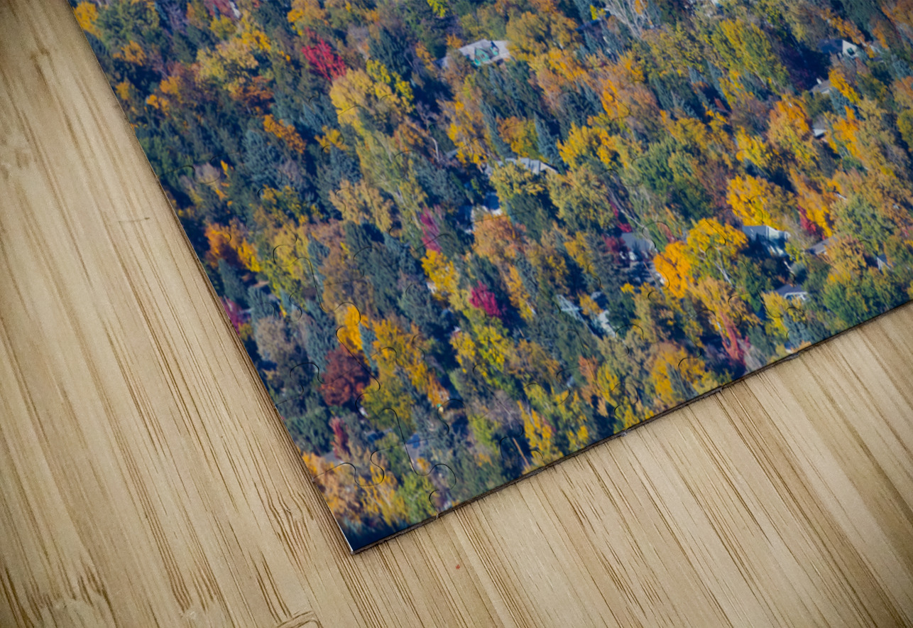 Fall Foliage Boulder Colorado HD Sublimation Metal print