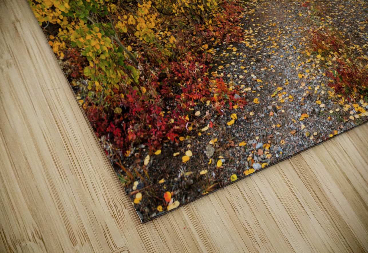 Colorful Autumn Hiking Path Bo Insogna Puzzle