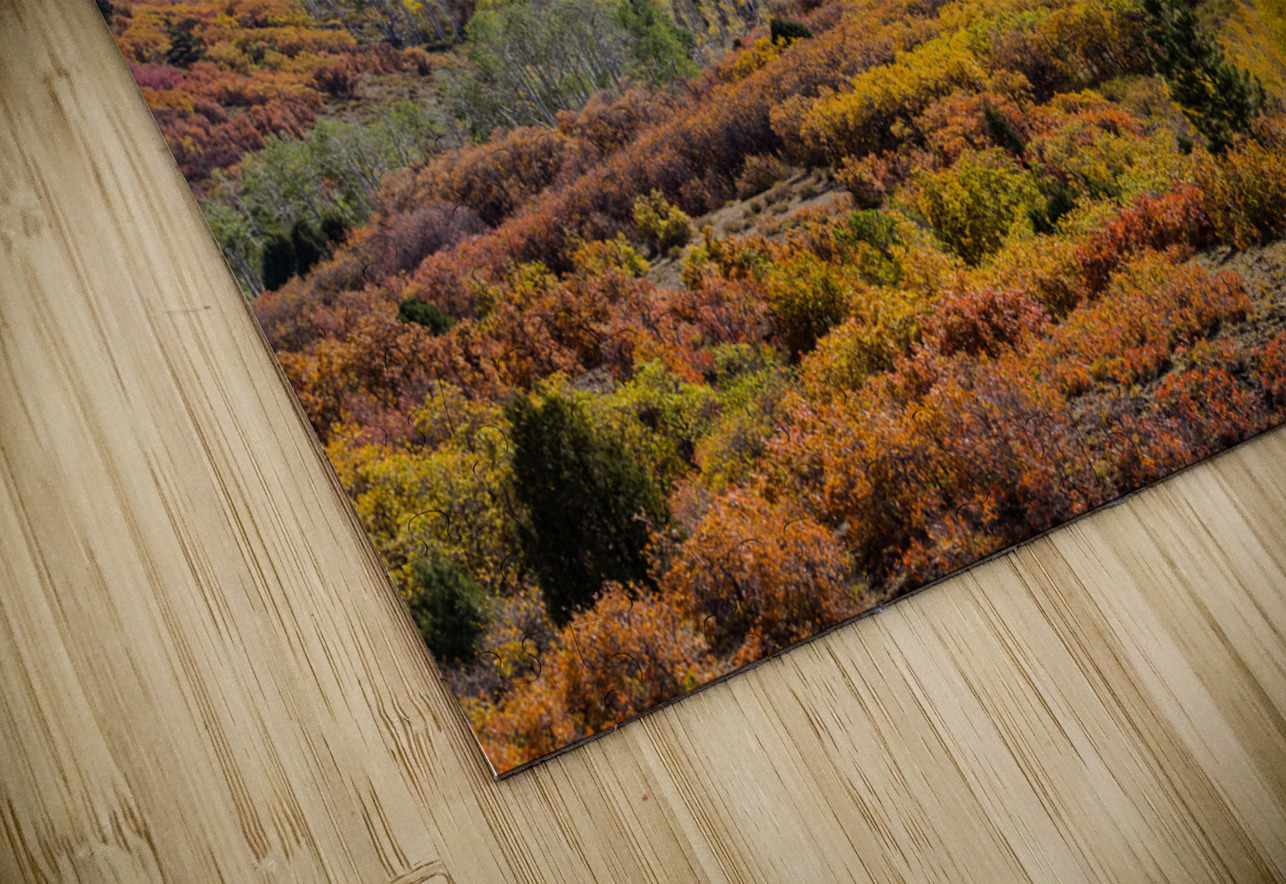 Colorado Color Bonanza Bo Insogna Puzzle