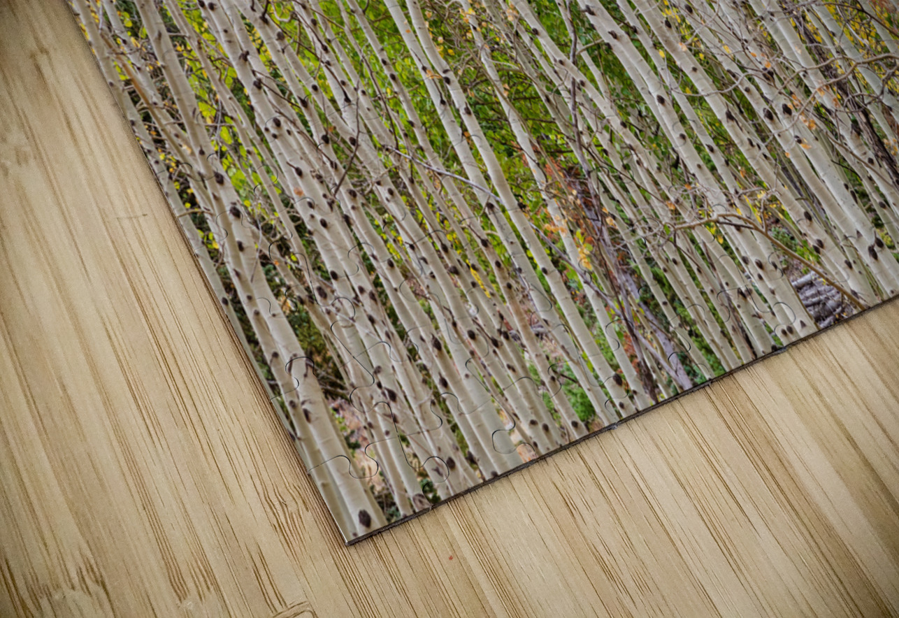 Colorful Forest Twist  and Turns Bo Insogna Puzzle