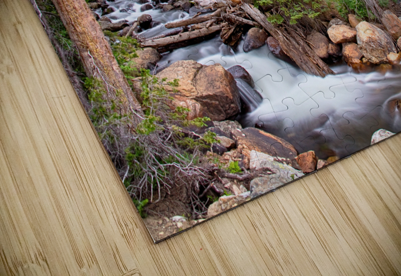 Colorado Rocky Mountain Forest Stream Bo Insogna Puzzle