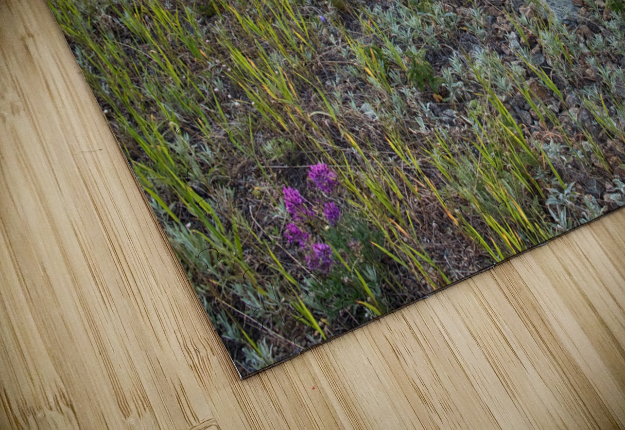 South Boulder Creek Summer View Bo Insogna Puzzle